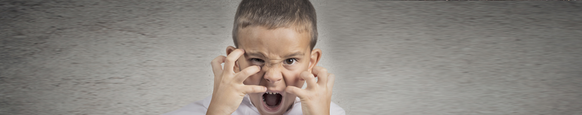 Verklaren en begrijpen van agressief gedrag