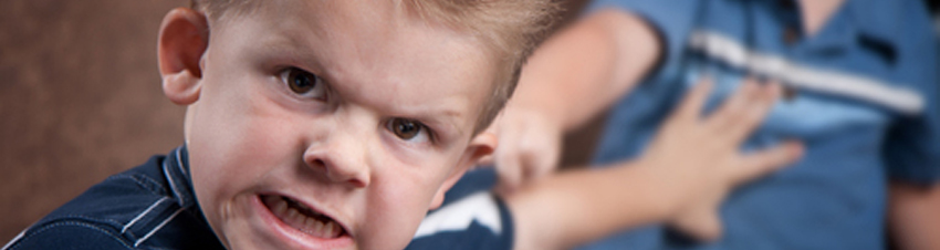 Brandon en Willem: wat vertellen ze ons?