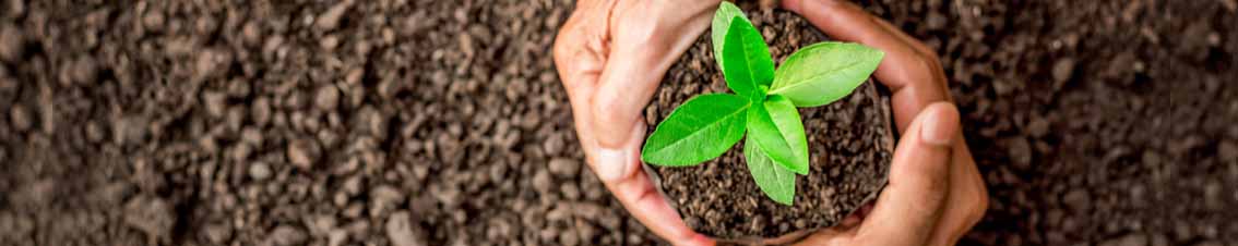 Wat is systeemgericht werken?